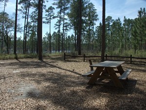 Group Campsites