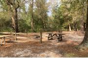 Photo: Coldwater Equestrian Campground Blackwater River State Forest