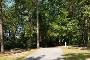 Hurricane Lake North Campground Blackwater River State Forest, FL - Photo 2