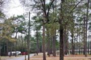 Photo: Krul Campground Blackwater River State Forest