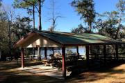 Photo: Tates Hell state Forest Womack Creek Campground