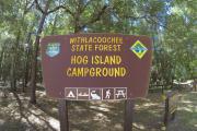 Photo: Hog Island Campground