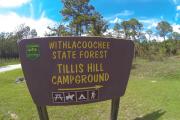 Photo: Tillis Hill Campground Withlacoochee State Forest