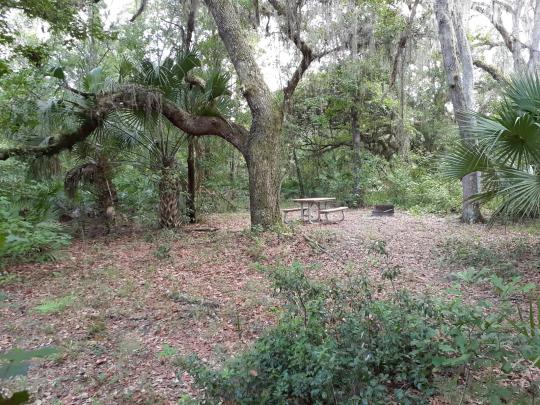 Photo: Charles H. Bronson Primitive Campsites