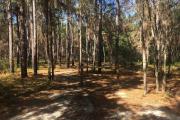 Photo: Watermelon Pond Primitive Campsites