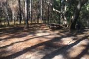 Photo: Watermelon Pond Primitive Campsites