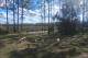 Photo: Whiskey George Primitive Group Campsite Photo: Whiskey George Primitive Group Campsite