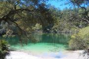 Photo: Blue Spring Primitive Campsite Photo: Blue Spring Primitive Campsite