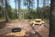 Photo: Blue Spring Primitive Campsite